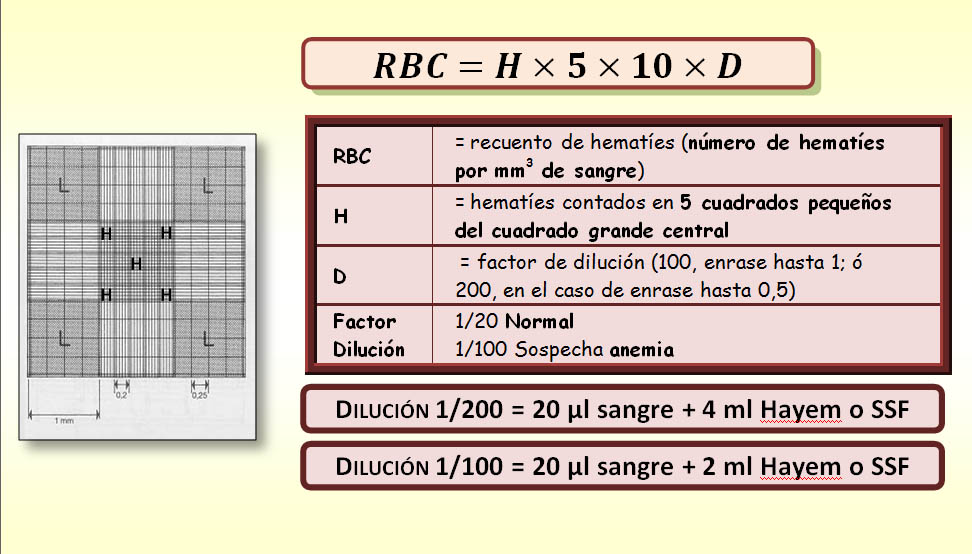 recuento de leucocitos en camara de neubauer formula